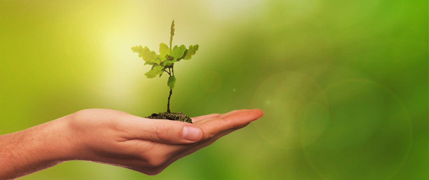 SmalfFarm ambiente e natura