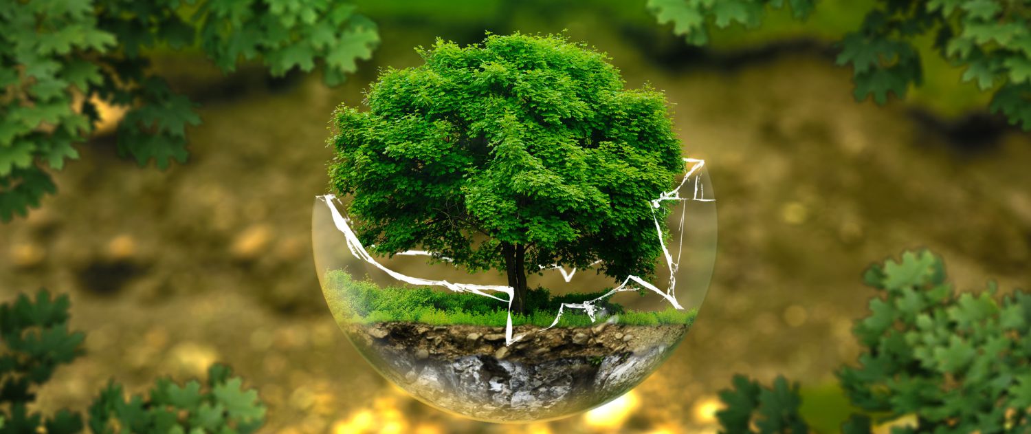 SmalfFarm ambiente e natura