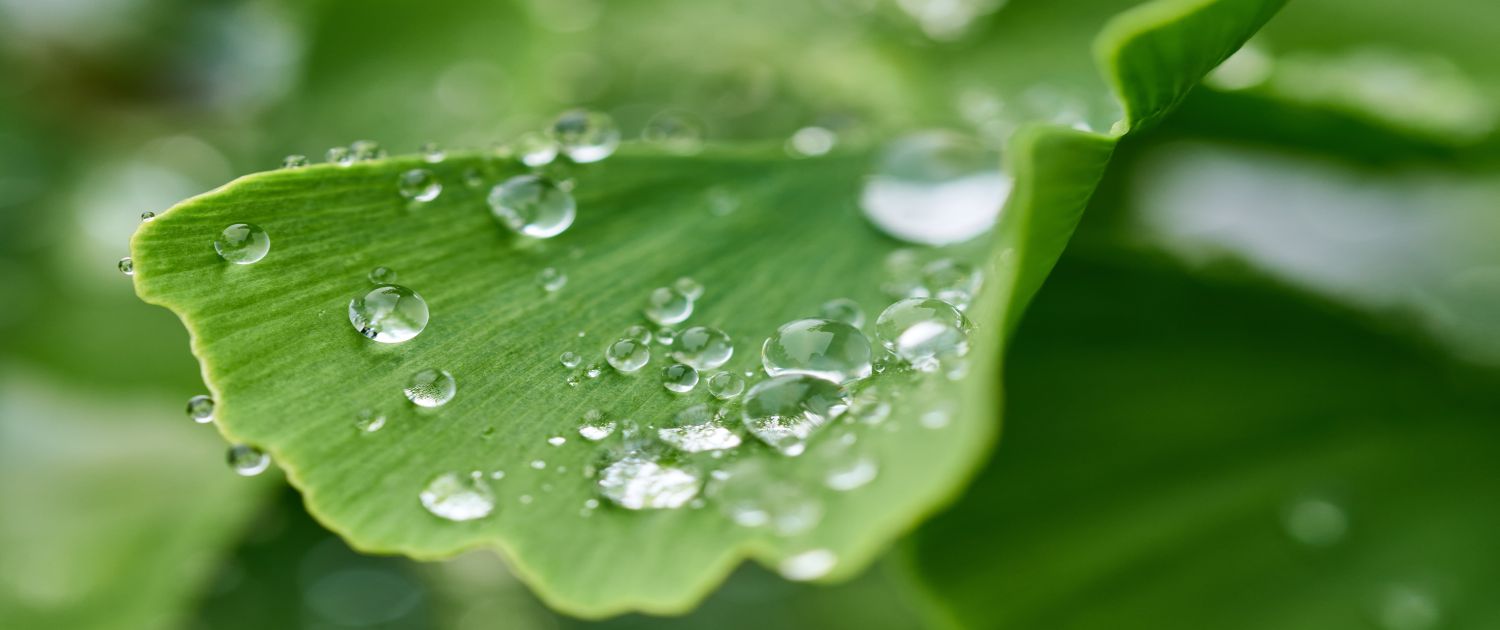 SmalfFarm ambiente e natura